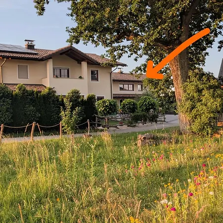 Apartment Ferienparadies Hafner Saaldorf-Surheim