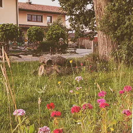 Ferienparadies Hafner